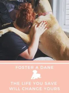 foster a dane