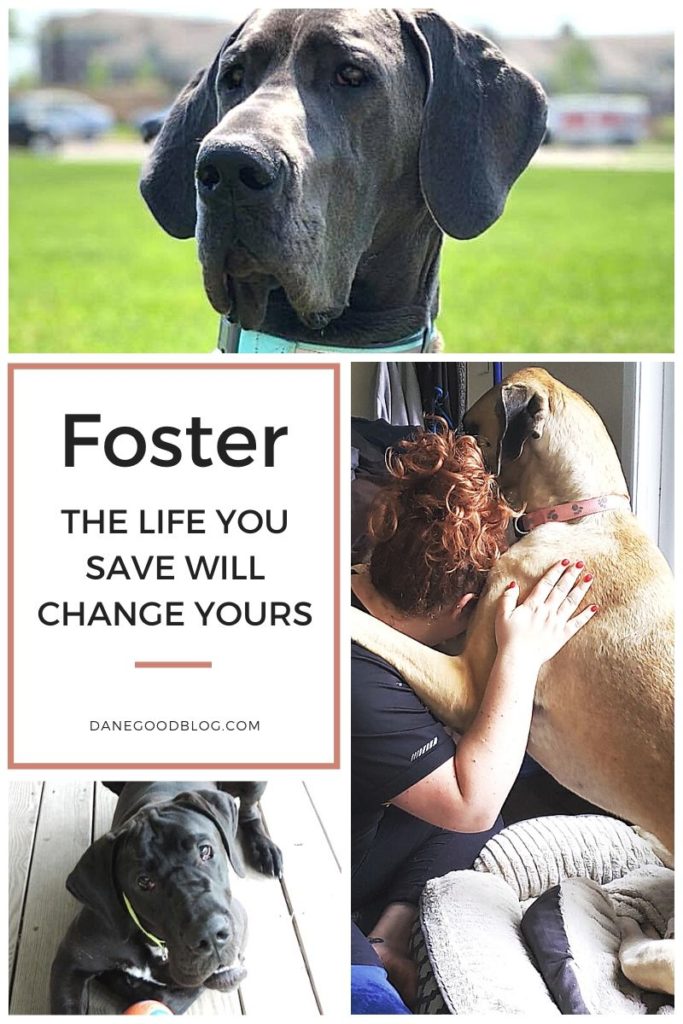 fostering